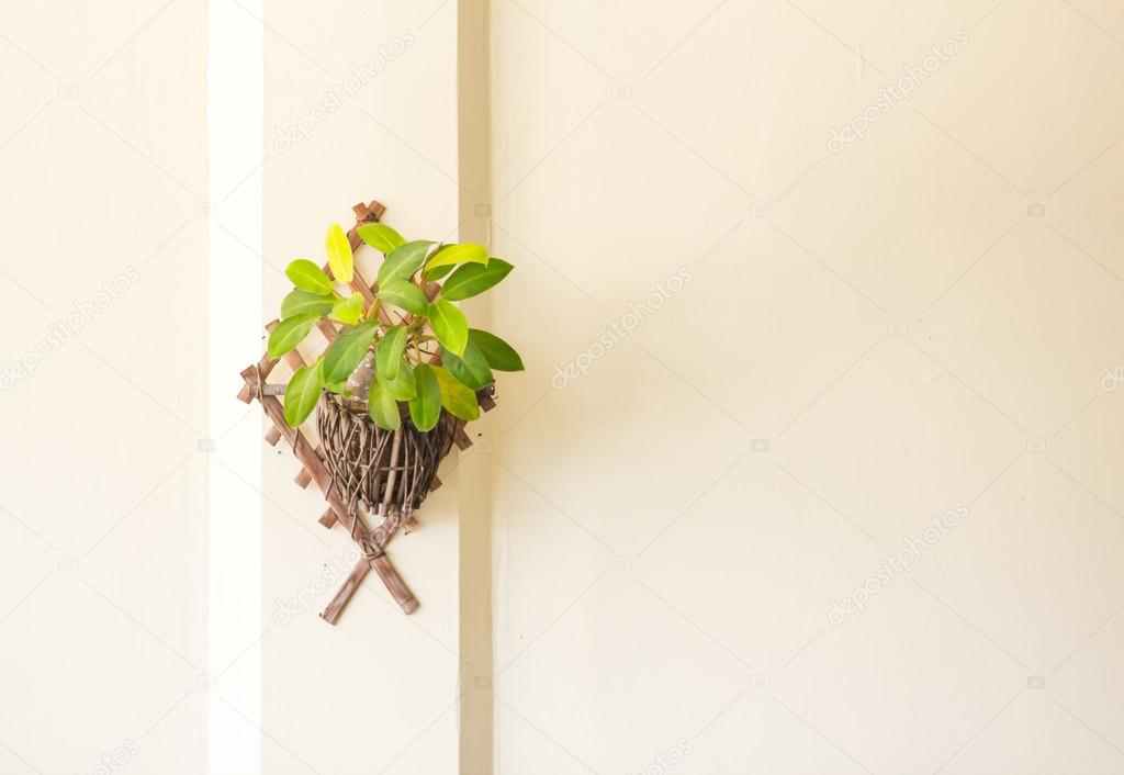 white wall and green plant in pot 