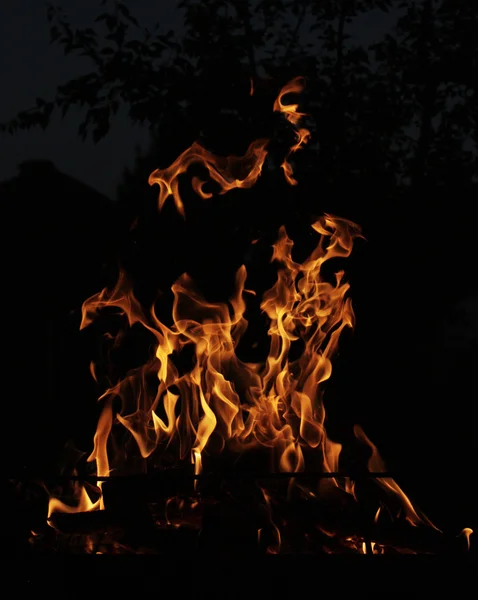 Feuer — Stockfoto