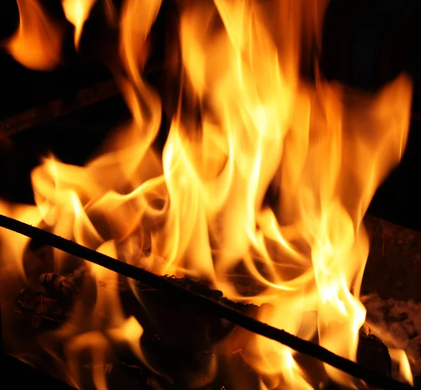 Fire — Stock Photo, Image