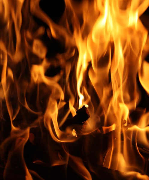 Fire — Stock Photo, Image