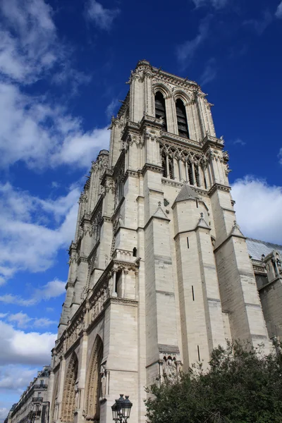 Notre Dame-Paris — Stockfoto