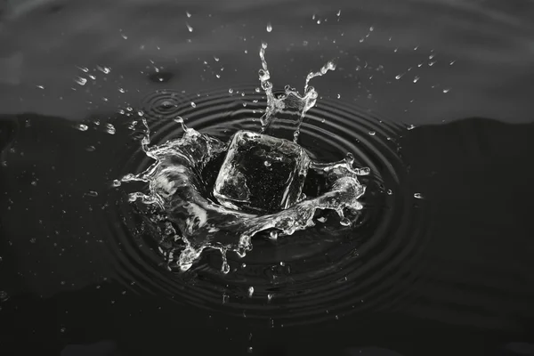 Water splash — Stock Photo, Image