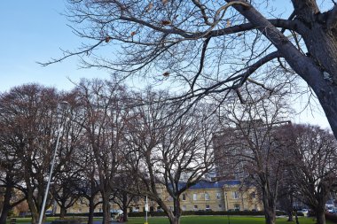 Avusturalya Tazmanya