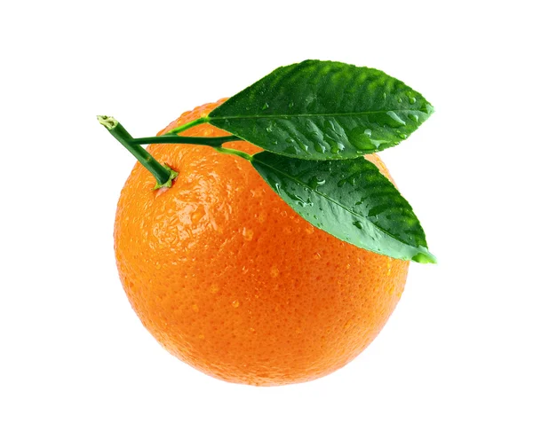 Laranja, laranja com folha — Fotografia de Stock