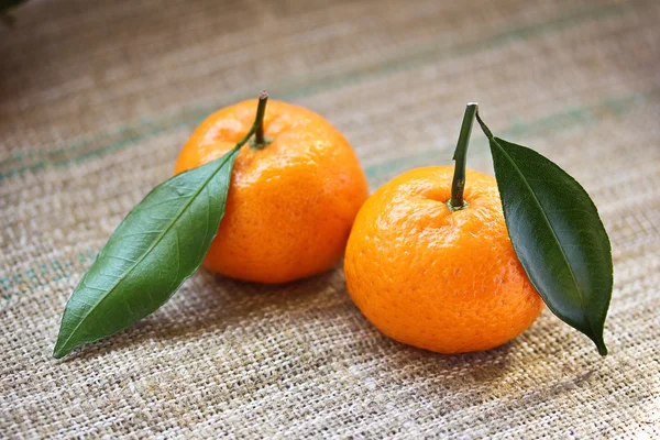 Mandarines з листя — стокове фото