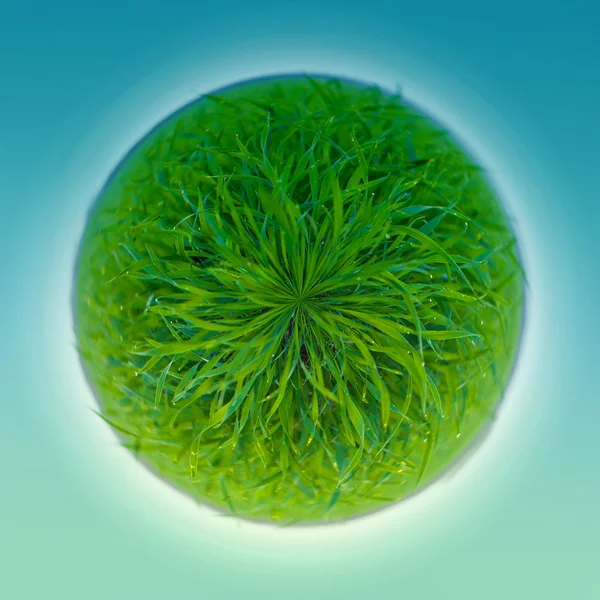 panorama yuvarlak yeşil çim desen