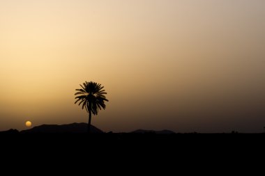 Maroc Marakeş gündoğumu çöl görünümü