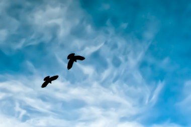 Two crow silhouette in the painted blue mountain sky clipart