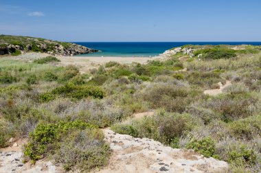 Altın güzel kum plaj calamosche Sicilya, İtalya