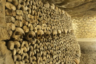 Paris Catacombs Skulls and bones clipart
