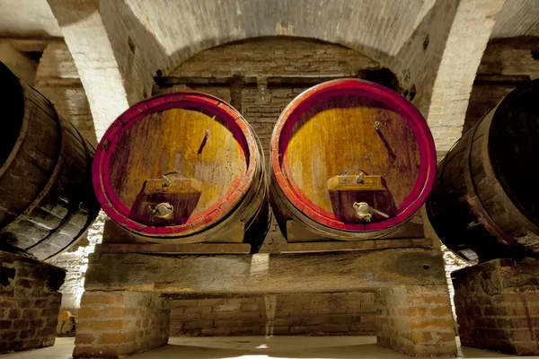 Wine Barrel in a cellar in Tuscany, Italy — Stock Photo, Image