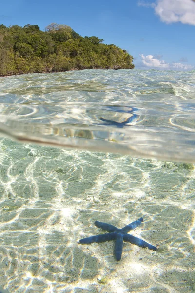 Turquesa Tropical Polinésia Paraíso Praia Oceano Mar Cristal Água Claro — Fotografia de Stock