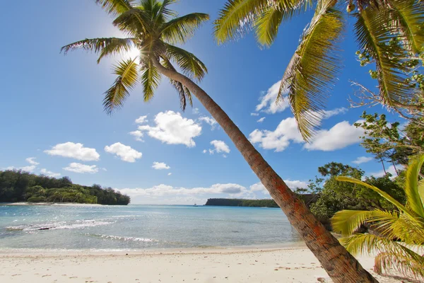 Tropisches Paradies polynesischer Strand Meer kristallklarer Sand — Stockfoto