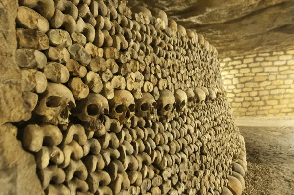 Paris catacombs kafatasları ve kemikleri