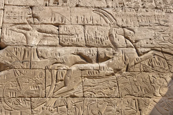 埃及卢克索神庙视图 — 图库照片