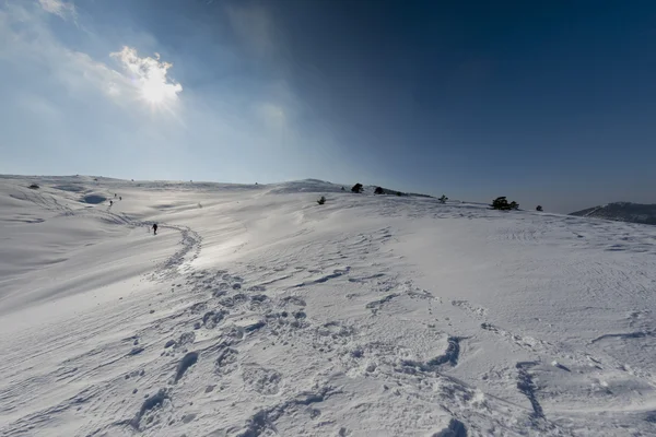 Vysokohorský slunné pohled s izolovanou trekker na stopě — Stock fotografie