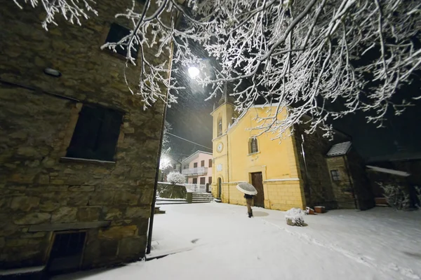 Trädgrenar som täcks av snö i vinter — Stockfoto