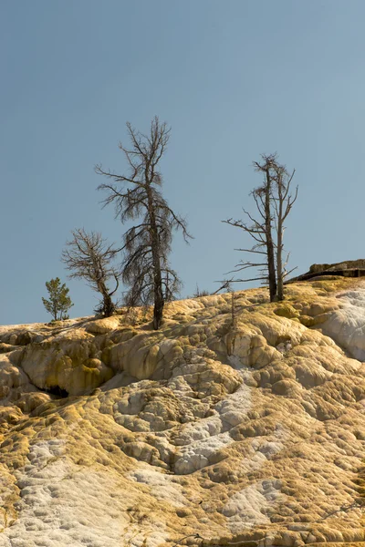 Yellowstone Mamute fontes termais — Fotografia de Stock