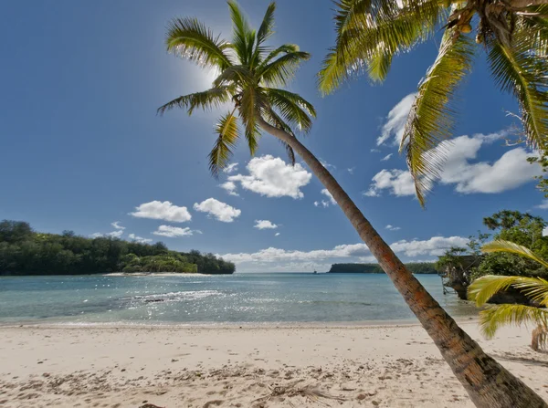 Ein paradiesischer weißer Sandstrand mit Kokospalmen und Fischerboot — Stockfoto