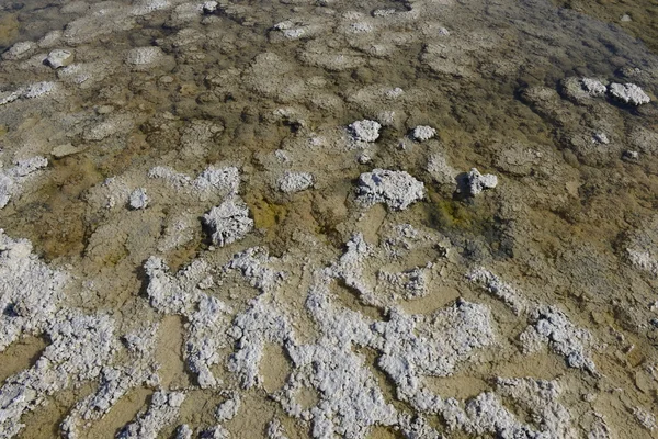 Death Valley badwater salt detail — Stock Photo, Image