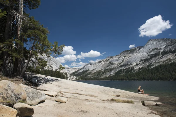 Yosemite Valley beautiful sunny view — Stock Photo, Image