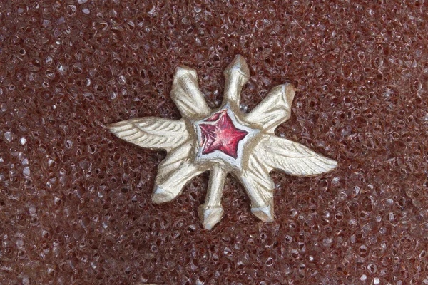 Vintage ryska militära pin — Stockfoto