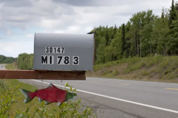 Red Salmon Mailbox su una strada nella penisola di Kenai, Alaska — Foto Stock