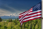 Usa American flag stars and stripes on mount McKinley Alaska background