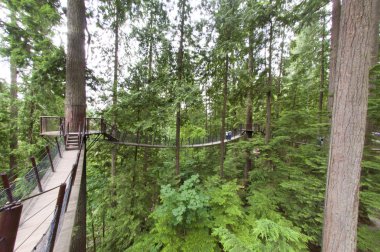 Capilano suspension bridge park in Vancouver clipart