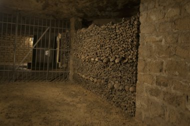 Paris catacombs kafatasları ve kemikleri