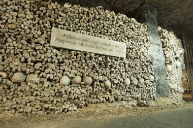 Paris catacombs kafatasları ve kemikleri