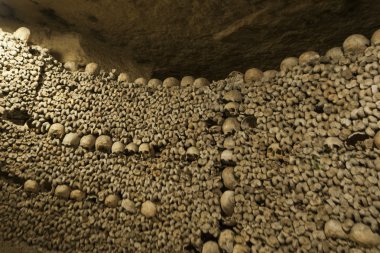 Paris catacombs kafatasları ve kemikleri