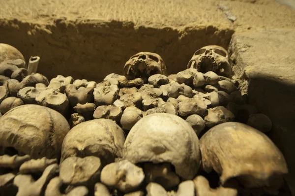 Catacumbas de Paris Caveiras e ossos — Fotografia de Stock