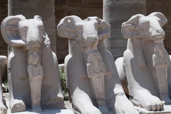 Luxor Egypte hiërogliefen — Stockfoto