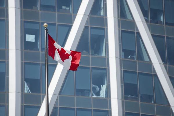 Kanadská vlajka na budově calgary — Stock fotografie