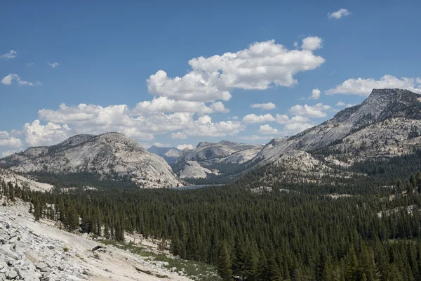 Yosemite Tioga Pass vista — Foto Stock