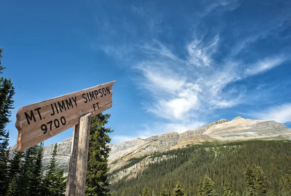 Icefield Park glacier view — Stock Photo, Image