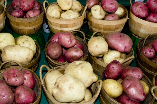Organic Fruit and vegetables: potatoes — Stock Photo, Image