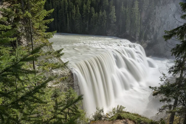 Yoho Park Wapta falls — Stockfoto