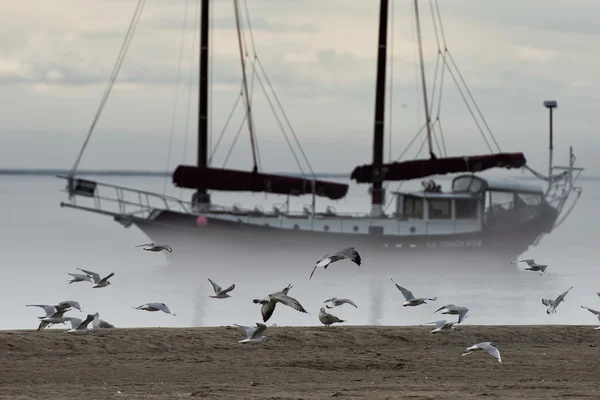 Het schip in de mist-achtergrond — Stockfoto