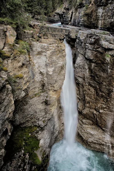 Banff park düşüşte — Stok fotoğraf