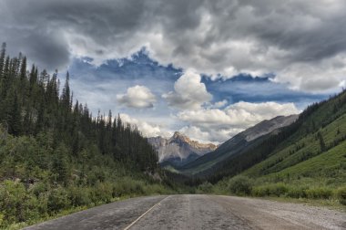 Yoho park buzulun görünümü