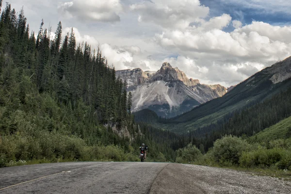 Yoho park gletsjer udsigt - Stock-foto