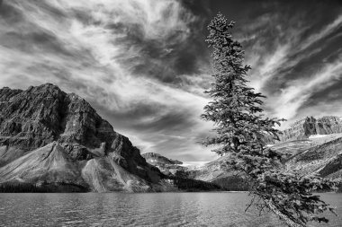 icefield Otoban yoho banff jasper park