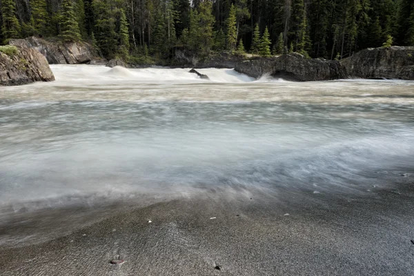 Yoho Park cai — Fotografia de Stock