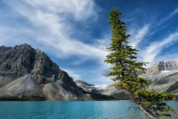 Parco di jasper Icefield autostrada yoho banff — Foto Stock