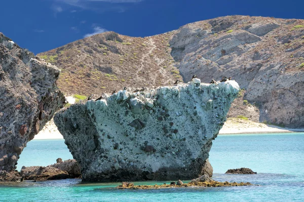 Baja California playa — Foto de Stock
