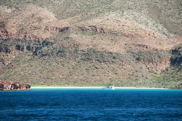 Plaża w Baja California — Zdjęcie stockowe