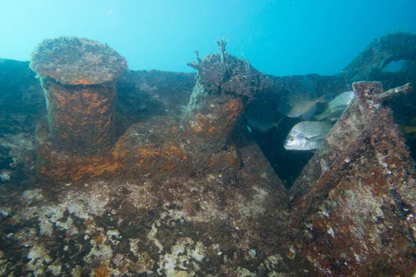 Ship Wreck — Stock Photo, Image