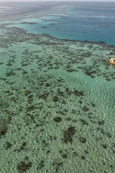 サンゴ礁の航空写真ビュー — ストック写真